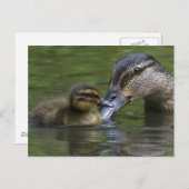 母愛 ポストカード (正面/裏面)