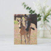 母愛 ポストカード (スタンド正面)