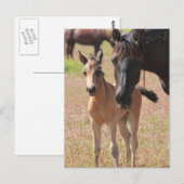 母愛 ポストカード (正面/裏面)