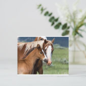 母愛 ポストカード (スタンド正面)