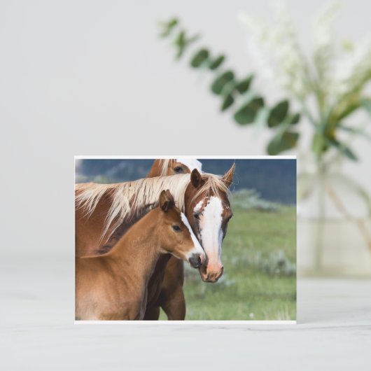 母愛 ポストカード (スタンド正面)