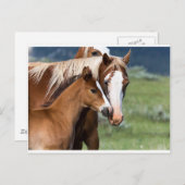 母愛 ポストカード (正面/裏面)