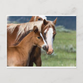 母愛 ポストカード (正面)