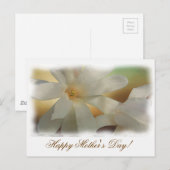 母愛 ポストカード (正面/裏面)