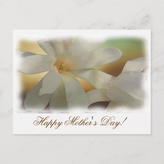 母愛 ポストカード (正面)