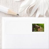 母愛 ラベル (インサイチュ)