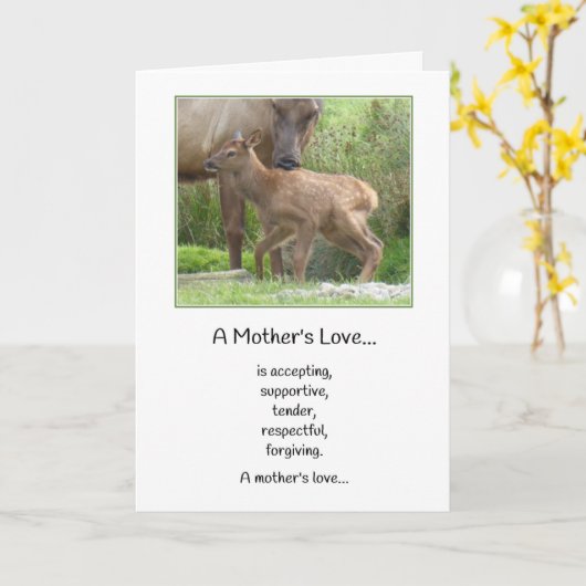 母愛……新生児 カード (黄色い花)