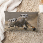 母枕が付いている腕時計 ランバークッション (ブランケット)