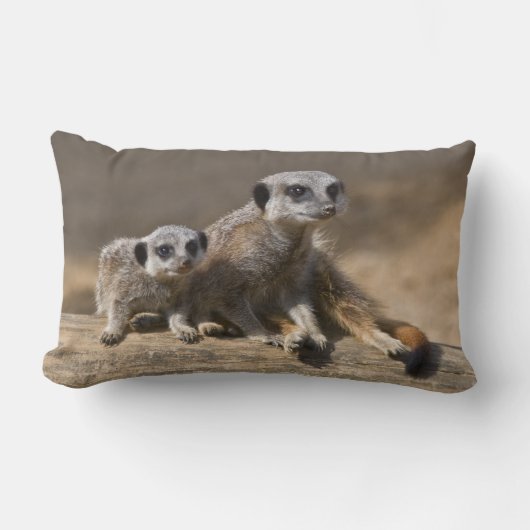 母枕が付いている腕時計 ランバークッション (正面)