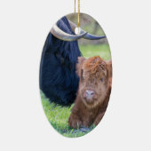 母牛を持つ生まれたばかりのなスコットランドの高地居住者の子牛 セラミックオーナメント (右)