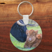母牛生まれたばかりのとスコットランドの高地子牛 キーホルダー (正面)