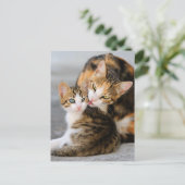 母猫は可愛い子猫が大好き ポストカード (スタンド正面)