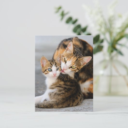 母猫は可愛い子猫が大好き ポストカード (スタンド正面)
