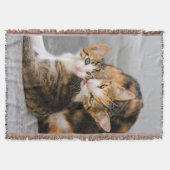 母猫は子猫の毛布が大好き スローブランケット (正面)