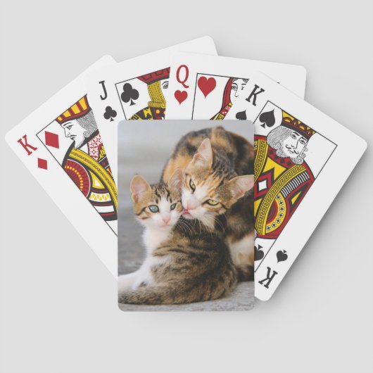 母猫は遊んでいるかわいい子ネコを愛します トランプ (裏面)