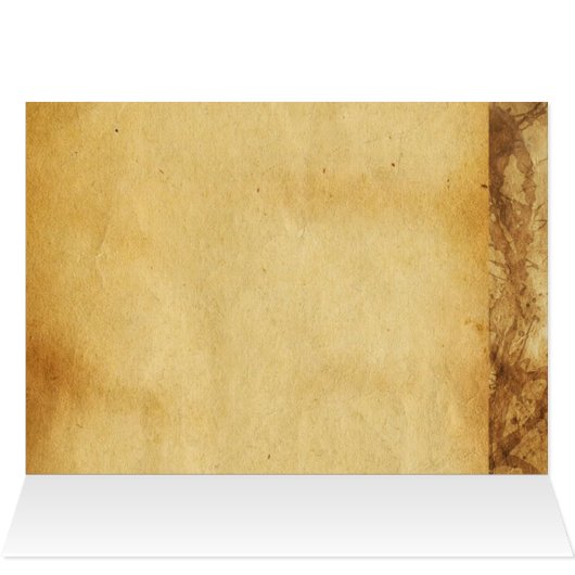 母猫遊と子猫日 (内部横(上))