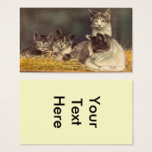 母猫・子猫 (正面&裏面)