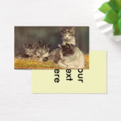 母猫・子猫 (デスク)