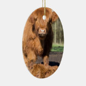 母生まれたばかりのな子牛の近くのスコットランドの高地居住者牛 セラミックオーナメント (右)