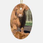 母生まれたばかりのな子牛の近くのスコットランドの高地居住者牛 セラミックオーナメント (左)