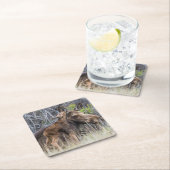 母生まれたばかりの親を殴るムース スクエアペーパーコースター (インサイチュ)