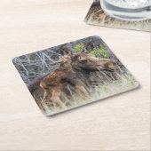 母生まれたばかりの親を殴るムース スクエアペーパーコースター (アングル)