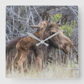 母生まれたばかりの親を殴るムース スクエア壁時計 (正面)