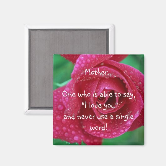 母磁石 マグネット (正面/裏面)