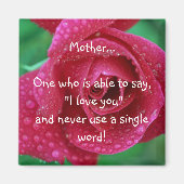 母磁石 マグネット (正面)