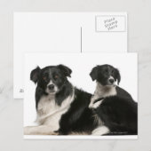 母縁ど子と子犬 ポストカード (正面/裏面)