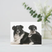 母縁ど子と子犬 ポストカード (スタンド正面)