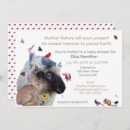 母自然の赤ちゃんシャワーの招待状： 招待状 (正面/裏面)