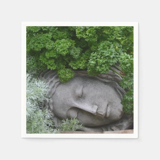 母自然 スタンダードカクテルナプキン (正面)