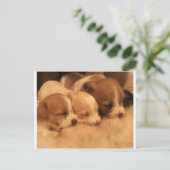 母親の愛 ポストカード (スタンド正面)