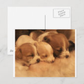 母親の愛 ポストカード (正面/裏面)