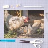 母親の鶏と彼女の雛 薄葉紙 (クラフト)