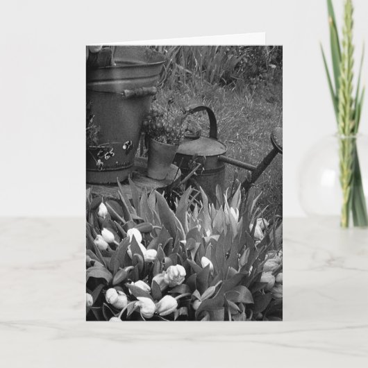 母親は特別な女性に一生を捧げる カード (正面)