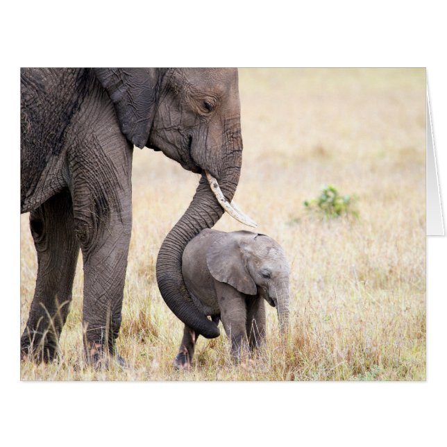 母親らしい愛 (正面横)