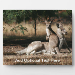 母親カンガルーとジョーイの休息 フォトプラーク