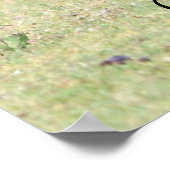 母親カンガルーとポーチの赤ちゃんジョーイ ポスター (角)