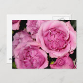 母親用バラ ポストカード (正面/裏面)