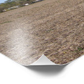 母詩写真プリント フォトプリント            (角)