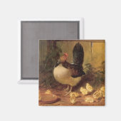 母誇りを持った雌鶏と雛(ベビー鶏) マグネット (正面/裏面)