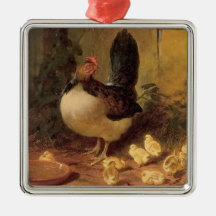 母誇りを持った雌鶏と雛(ベビー鶏)