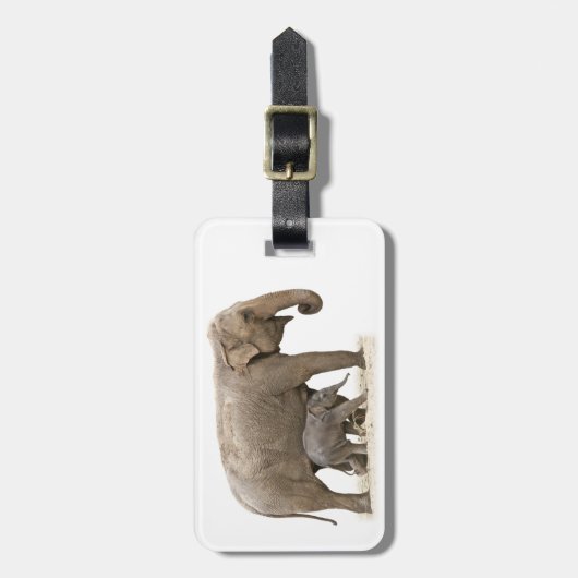 母象とベビー象 ラゲッジタグ (正面縦)