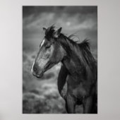 母馬 ポスター (正面)