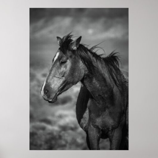 母馬 ポスター (正面)