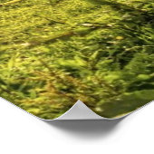 母馬 ポスター (角)