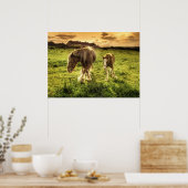 母馬 ポスター (キッチン)