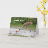 母鳥およびひな鳥のSandhillクレーン カード (黄色い花)